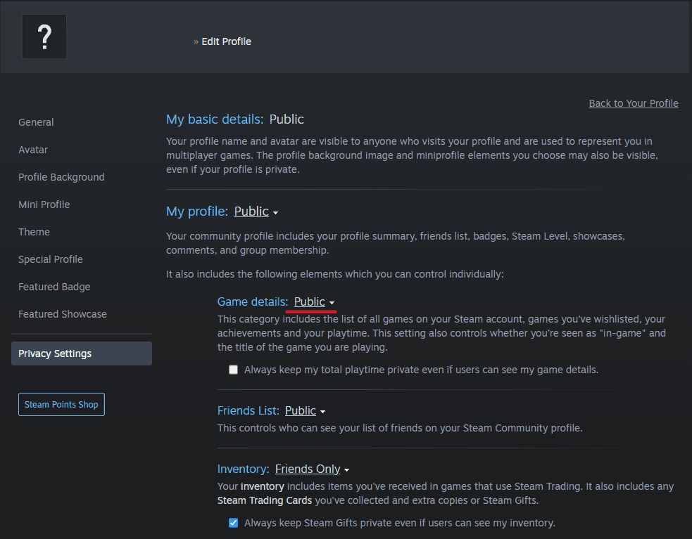 Steam Privacy Settings